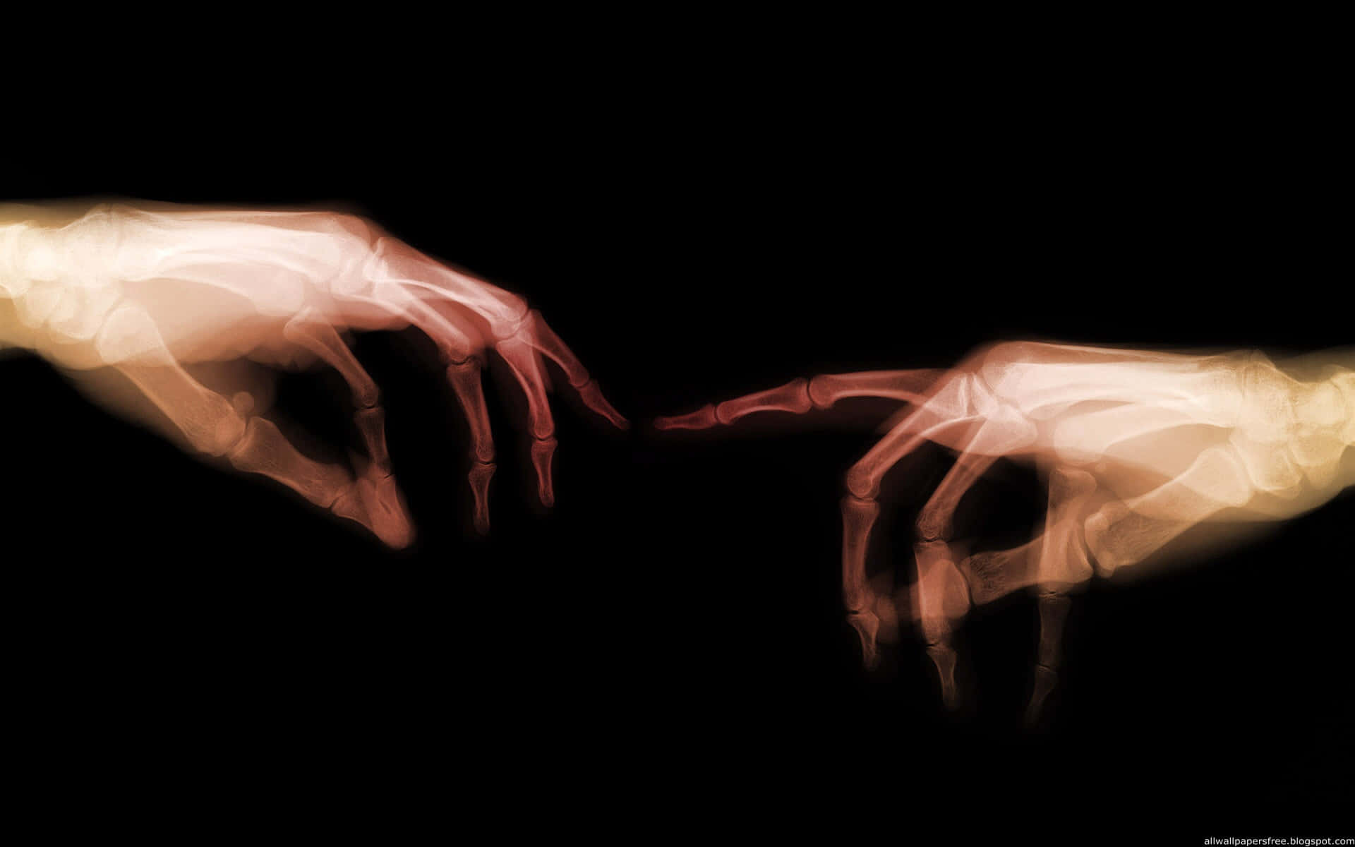 Two Skeleton Hands Reaching Out To Each Other Wallpaper