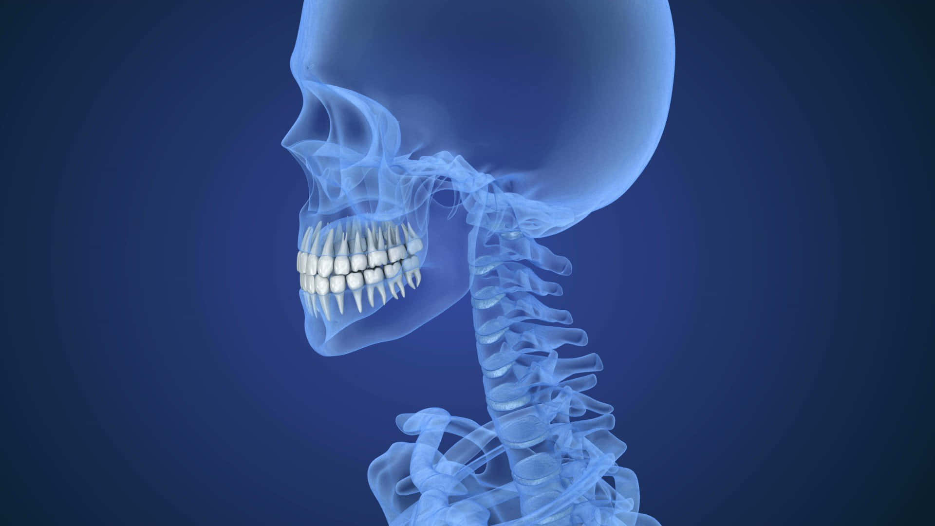 A Skeleton With Teeth In The Front Wallpaper