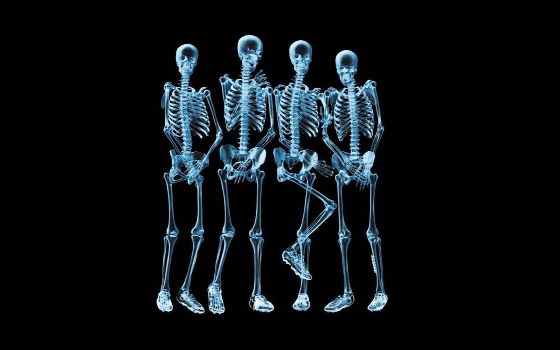 Skeletons Standing In A Row On A Black Background Wallpaper