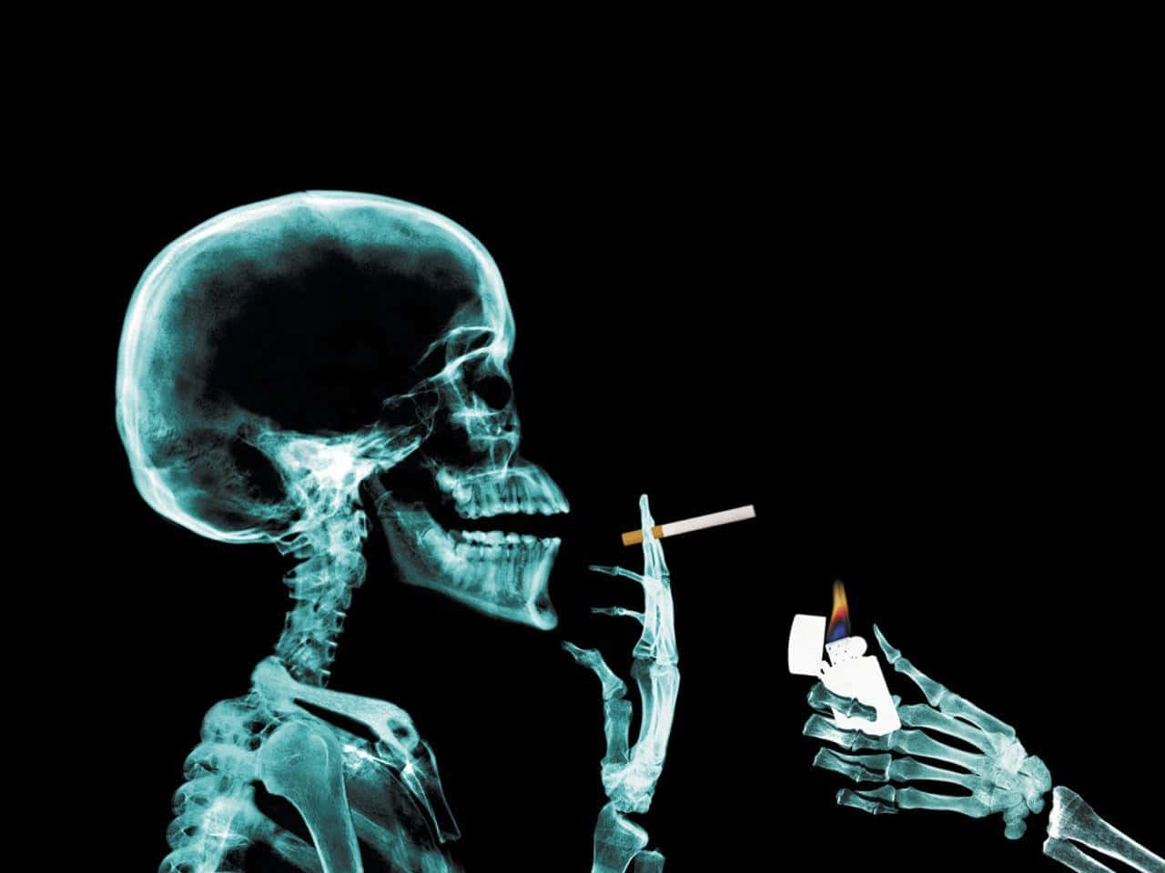 Radiographic image of a human skull Wallpaper