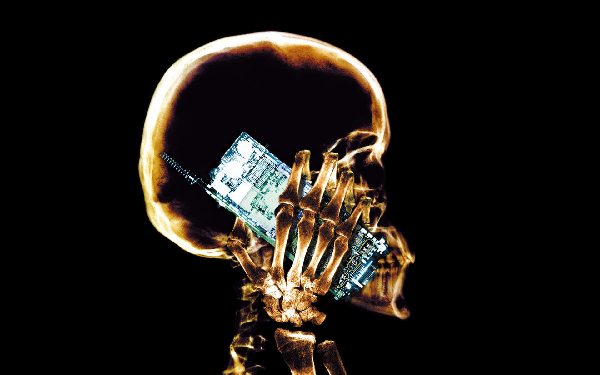 A Skeleton Holding A Cell Phone Wallpaper