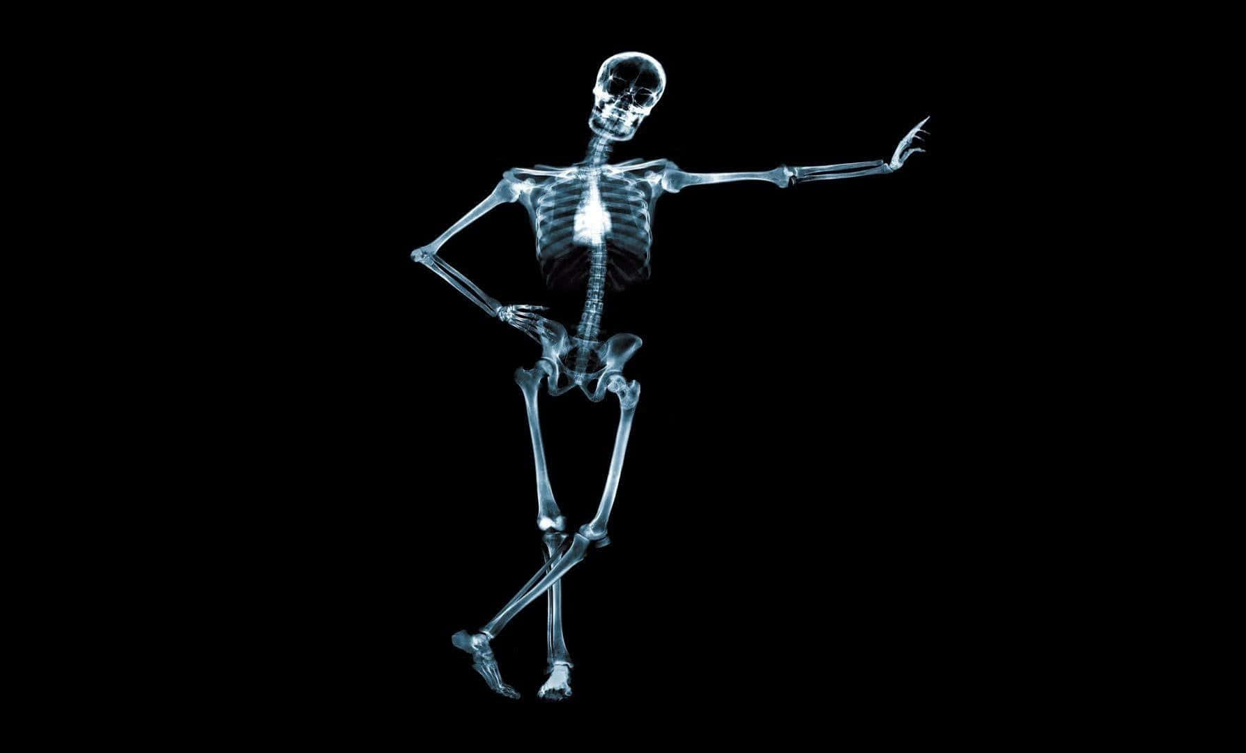 A Skeleton Is Standing On A Black Background