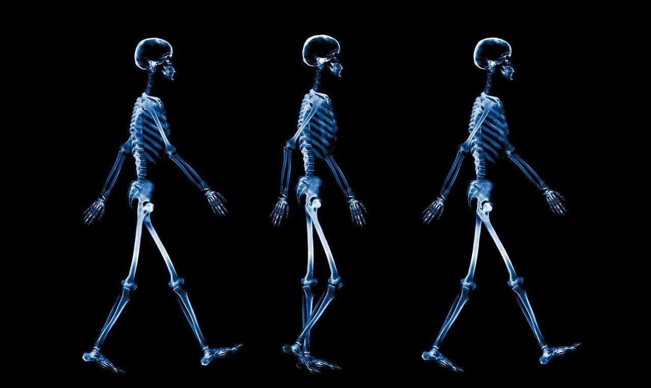 Trêsesqueletos Caminhando Em Fila
