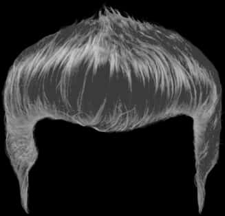 X Ray Style Hair Texture PNG