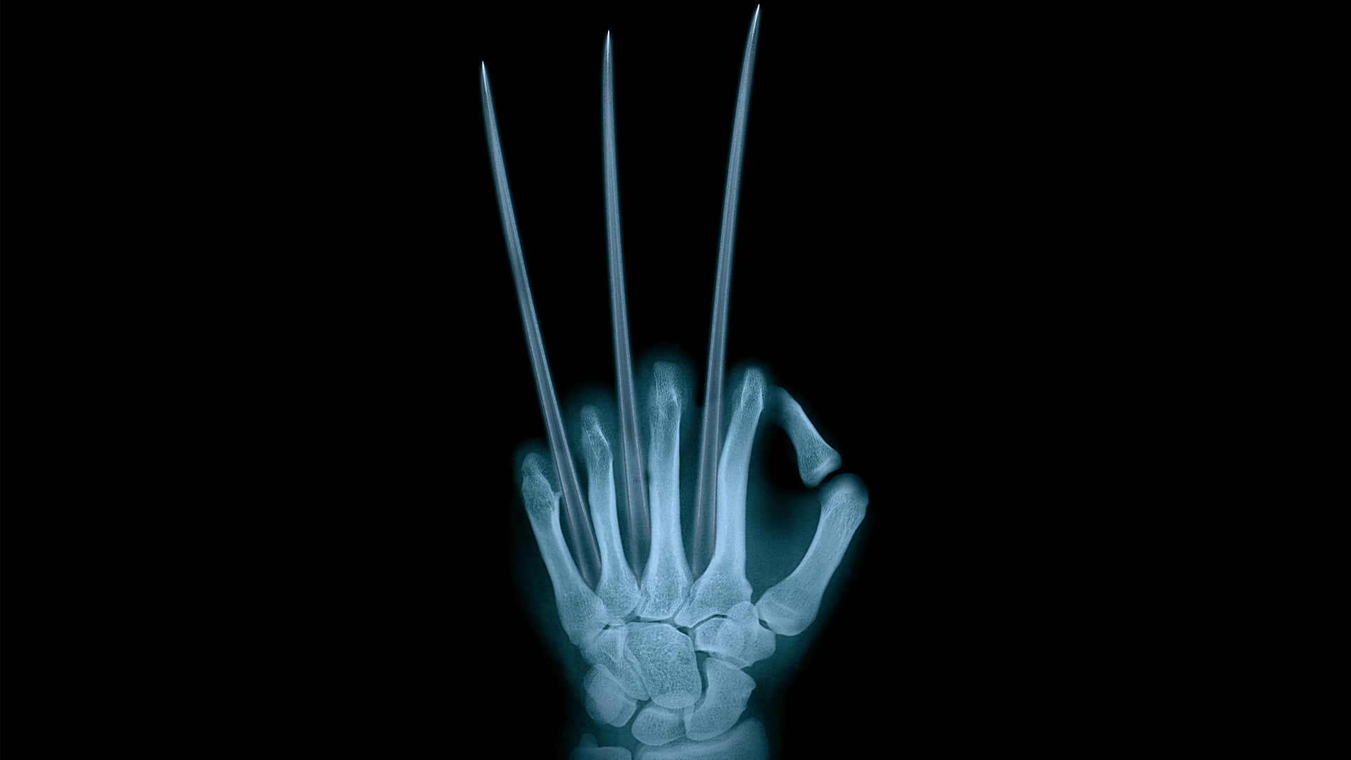 Wolverine's Hand In X-ray Wallpaper