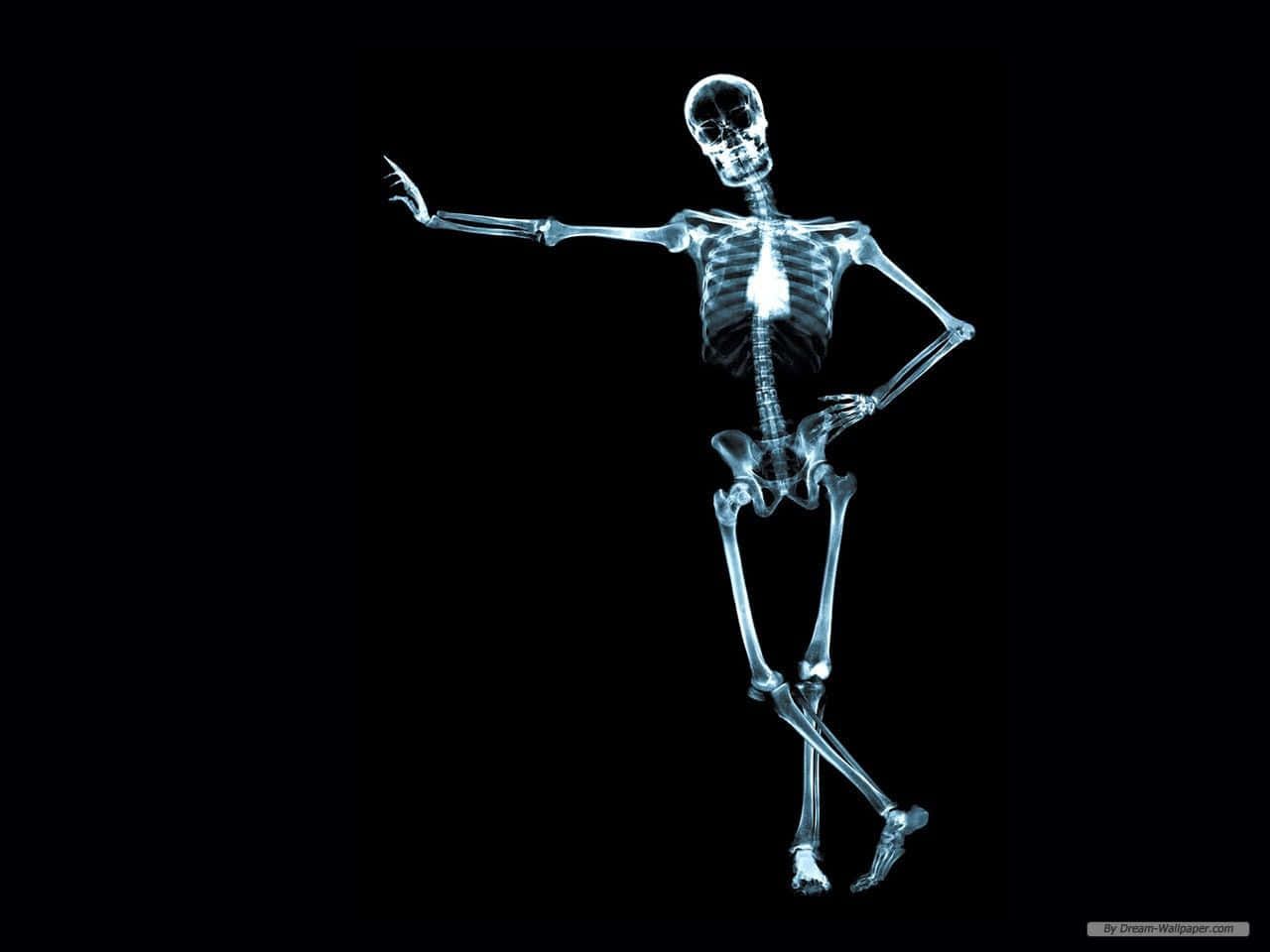 A Skeleton Is Standing On A Black Background Wallpaper