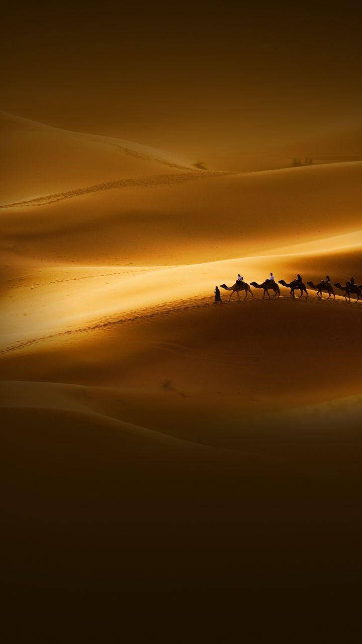Xiaomikamele In Der Wüste Wallpaper
