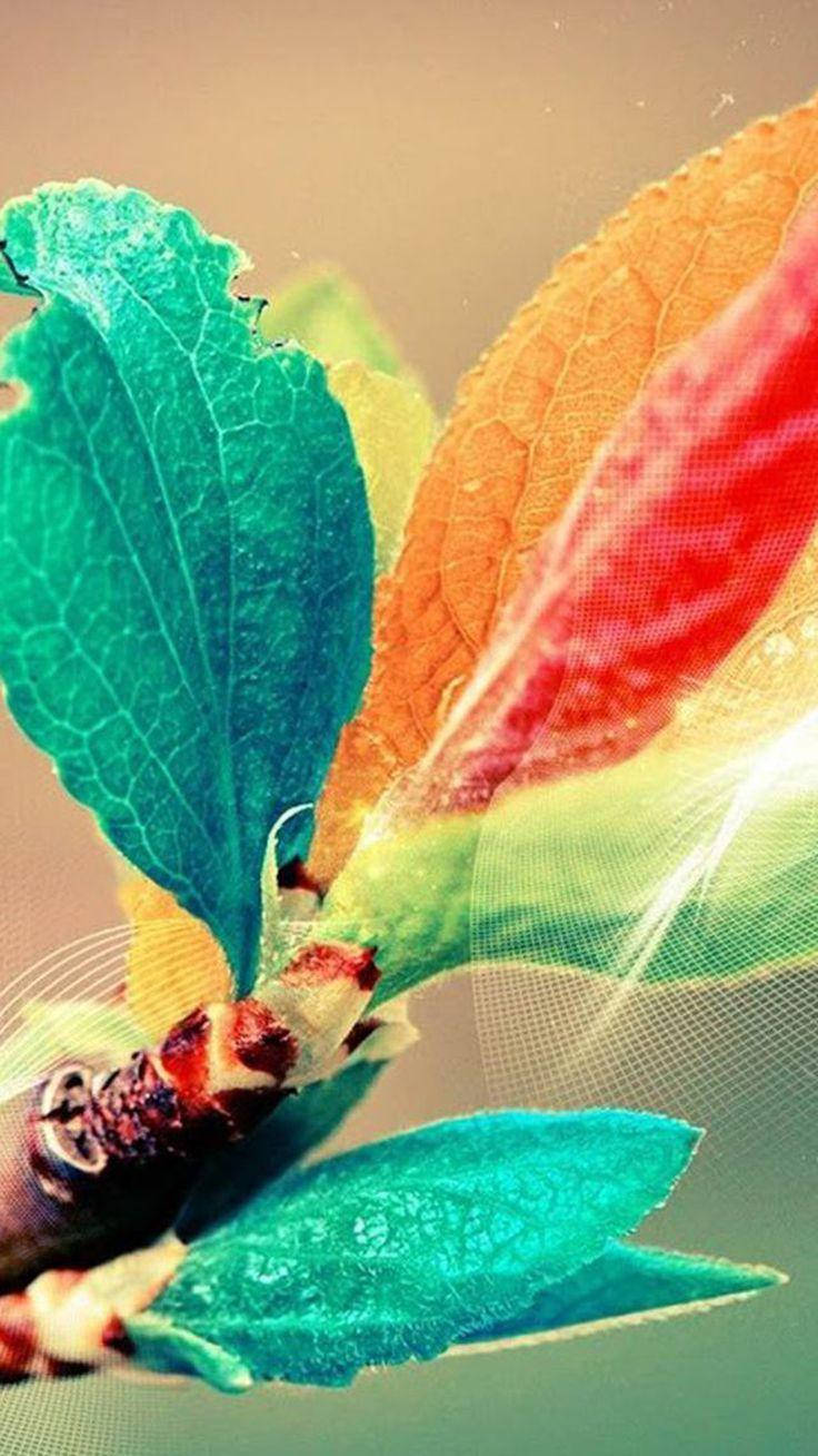 Xiaomi Colorful Leaves Wallpaper