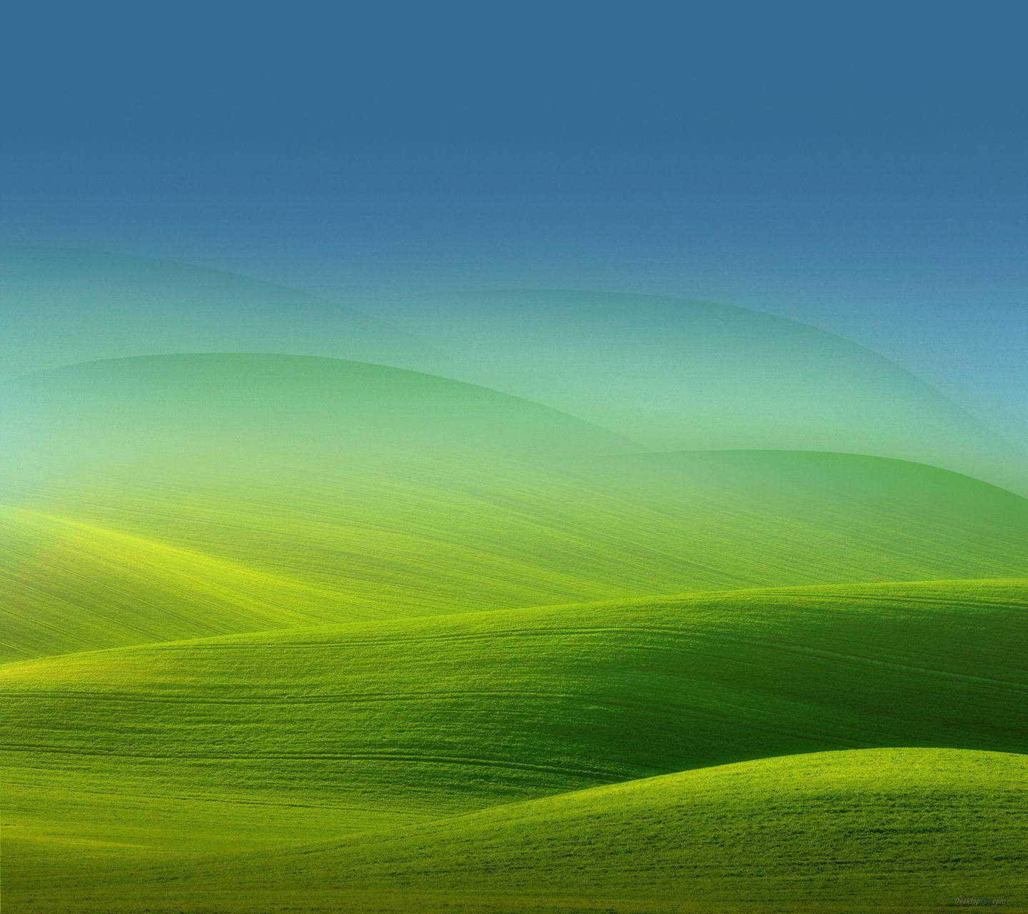 Xiaomi Green Hills Wallpaper