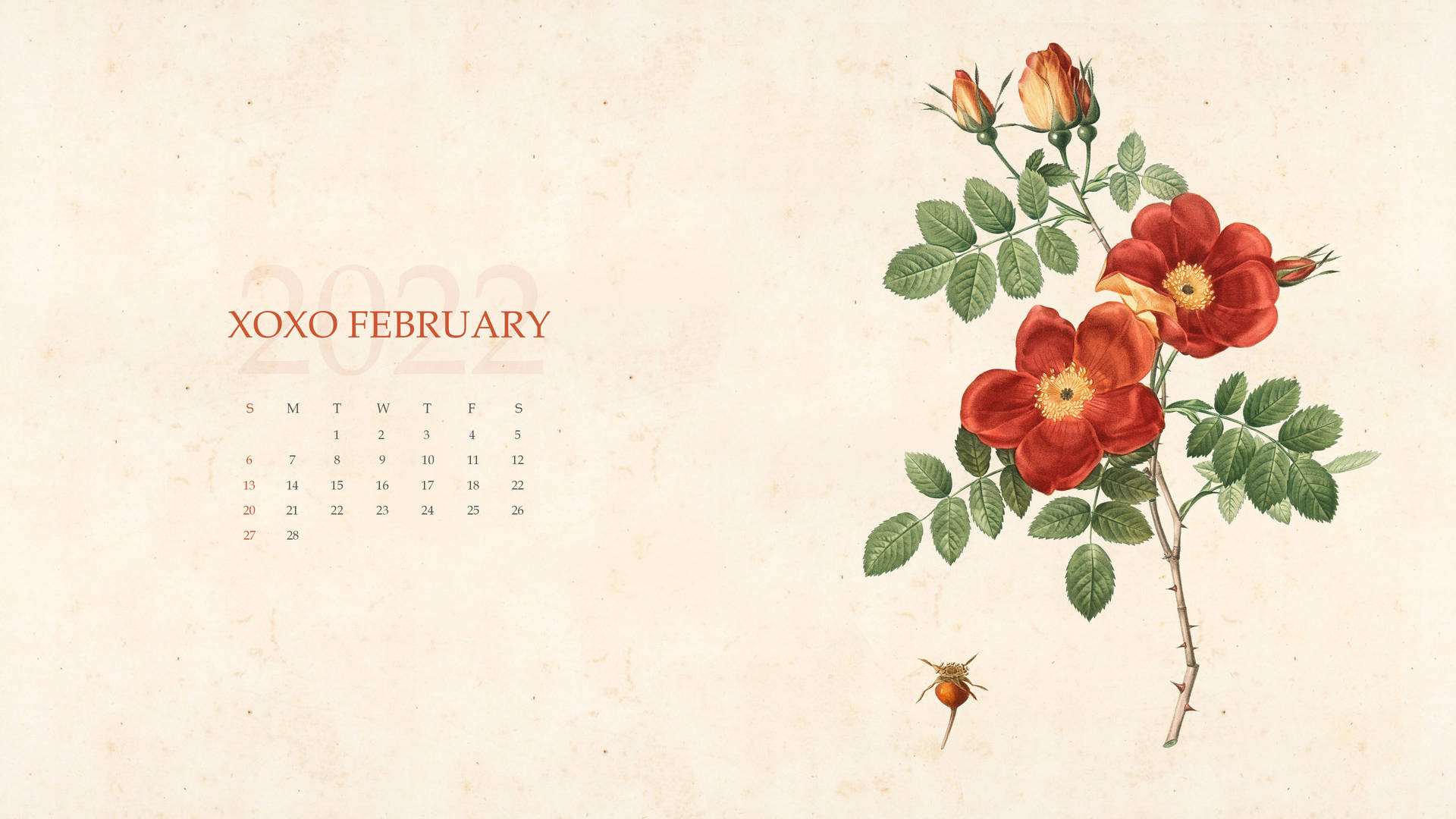 Calendariode Febrero 2022 Con Xoxo Fondo de pantalla