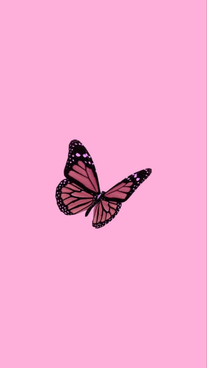 Y2k Aesthetic Pink Monarch Butterfly Wallpaper