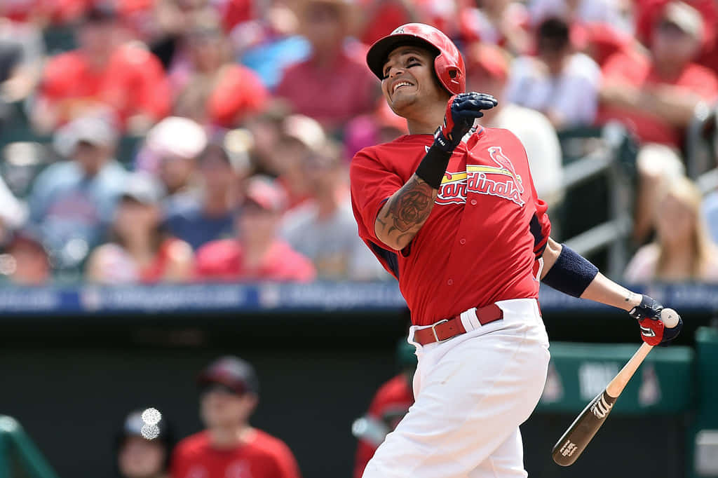 Yadier Molina, St. Louis Cardinals MLB baseball player Wallpaper
