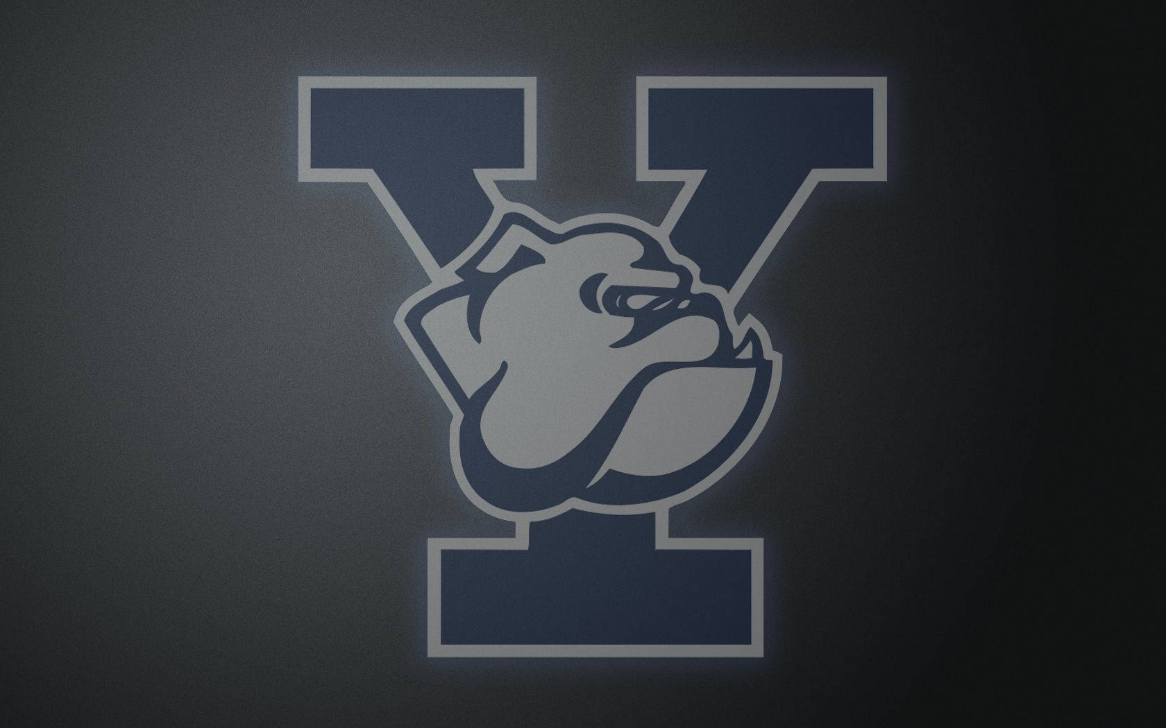 Yale University Bulldogs Logo On Grey Wallpaper
