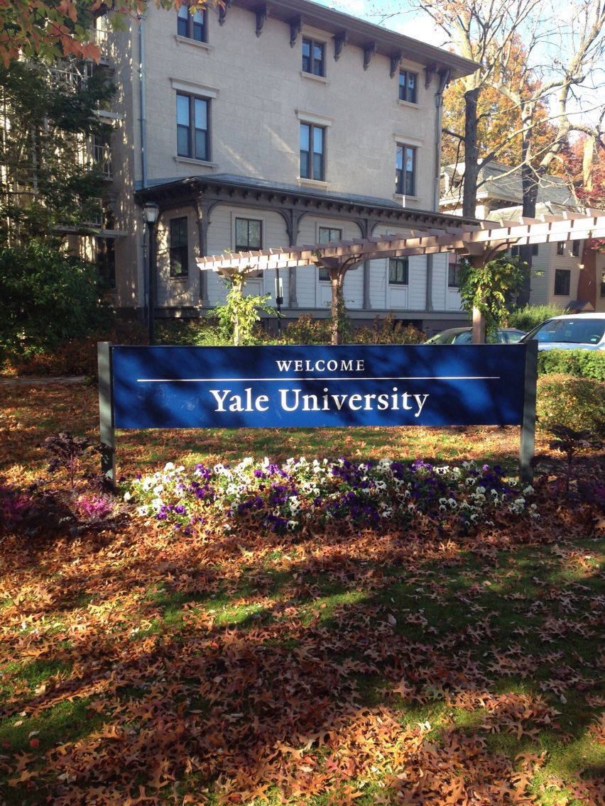 Letrerode Bienvenida De La Universidad De Yale Fondo de pantalla