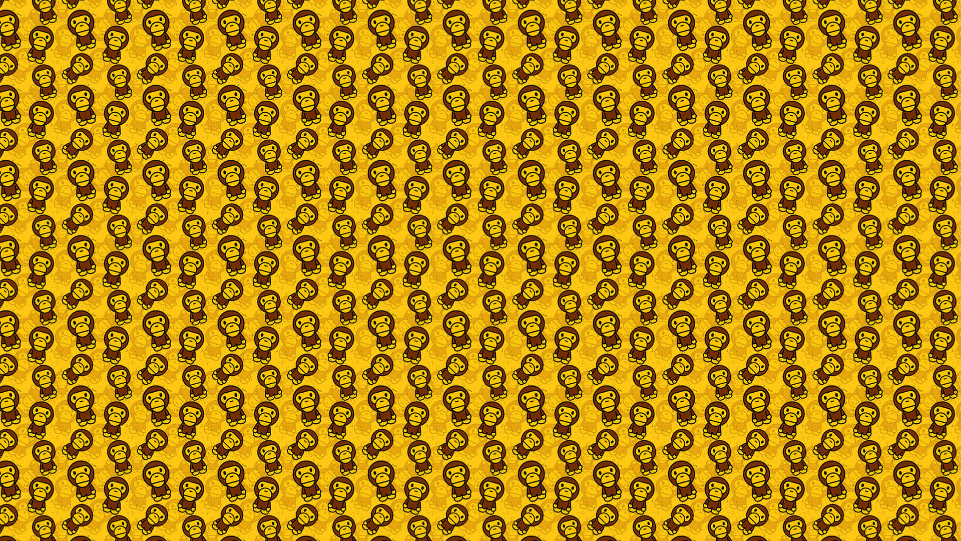 Yellow Chrysanthemum Blossom Wallpaper