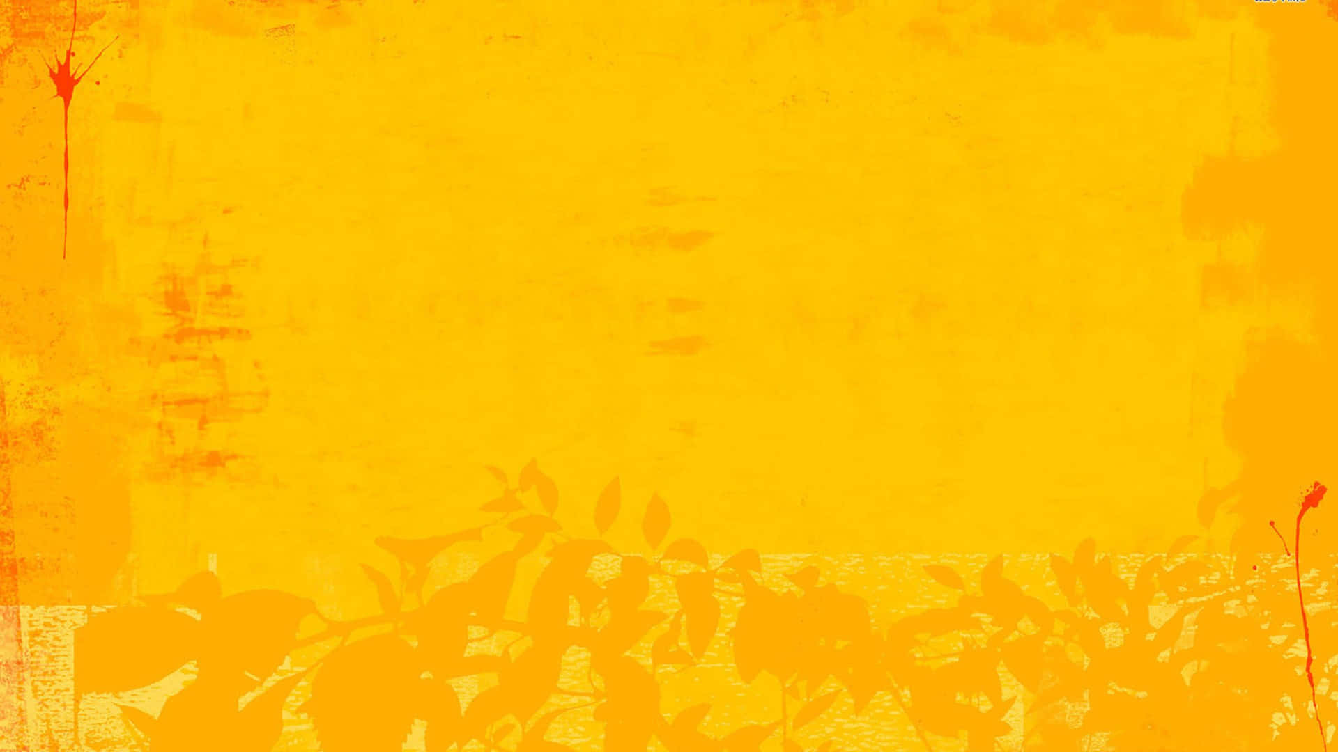 Rotesund Gelbes Hochauflösendes Hintergrundbild Wallpaper