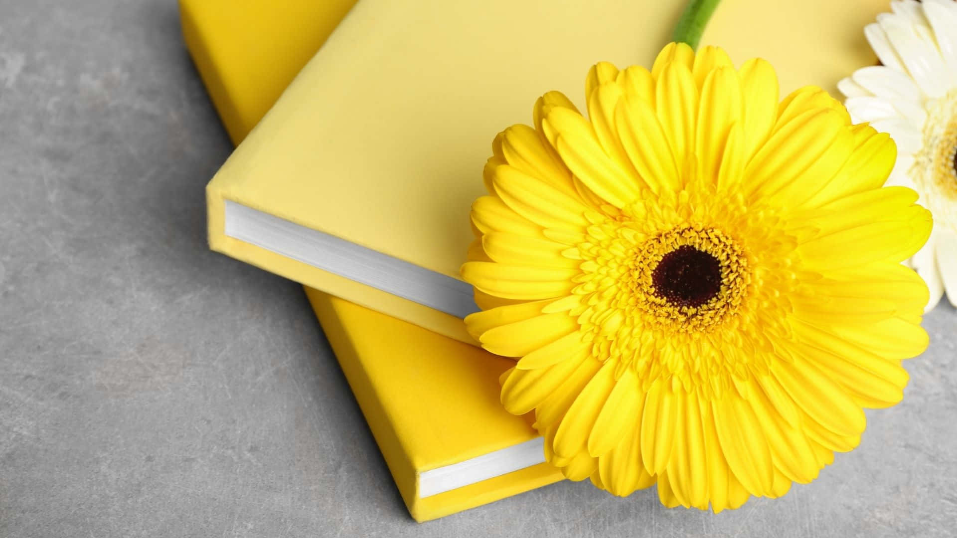 Two Yellow Books With Flowers On Them