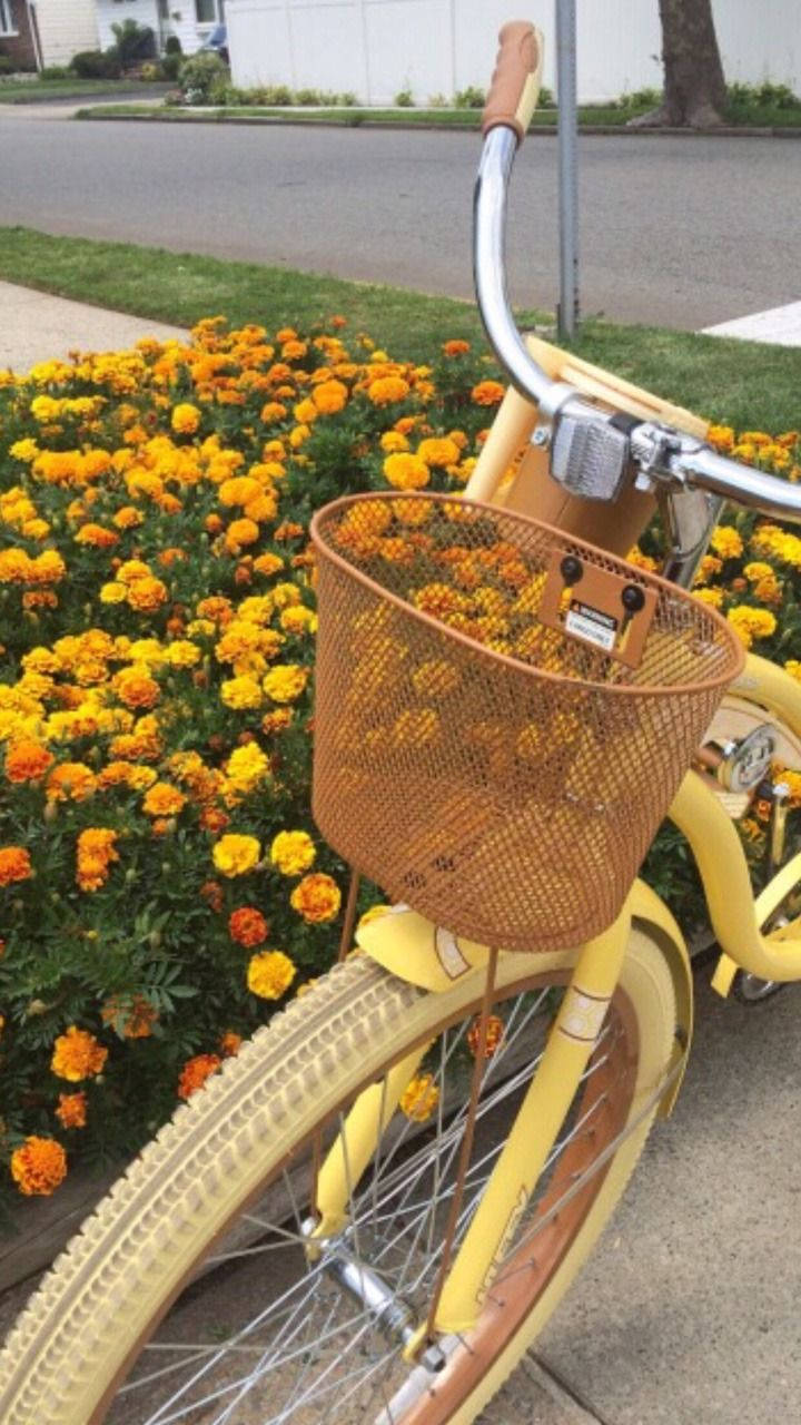 Yellow Aesthetic Bike Wallpaper