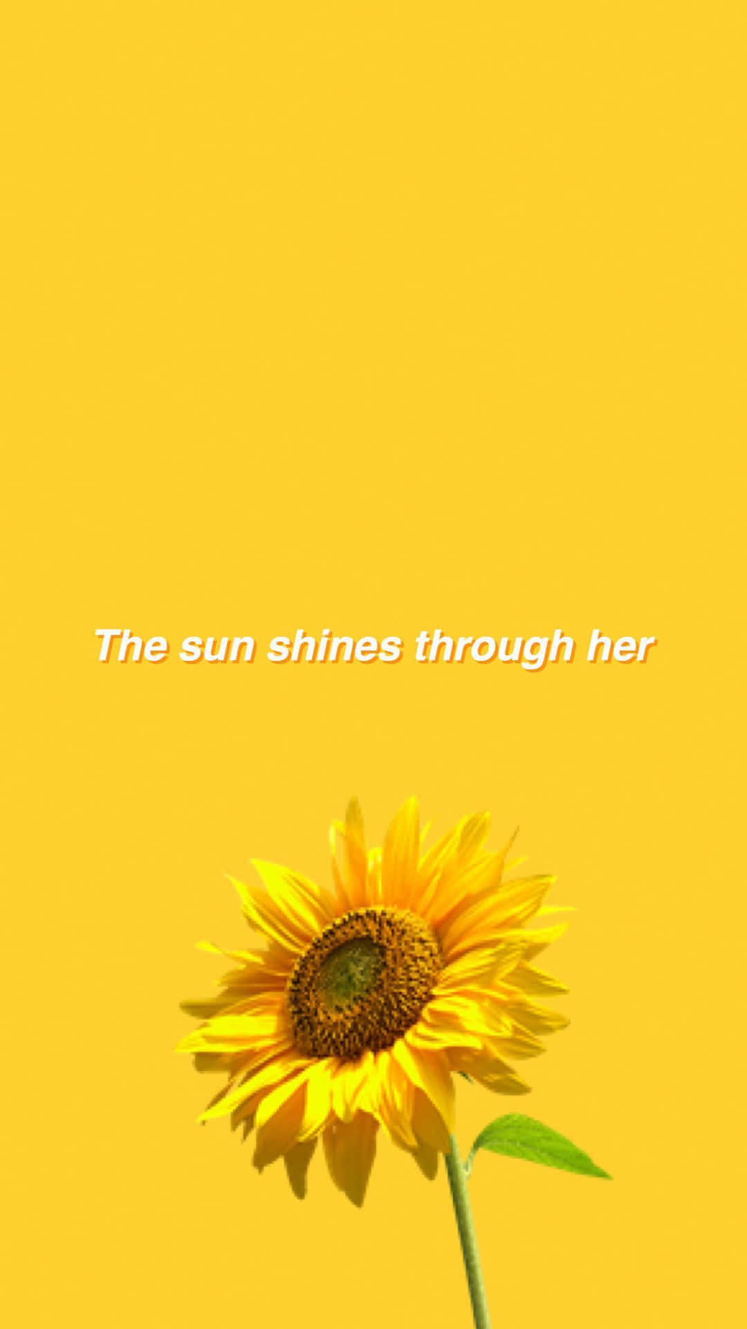 Yellow Aesthetic Iphone Lovely Sunflower Wallpaper