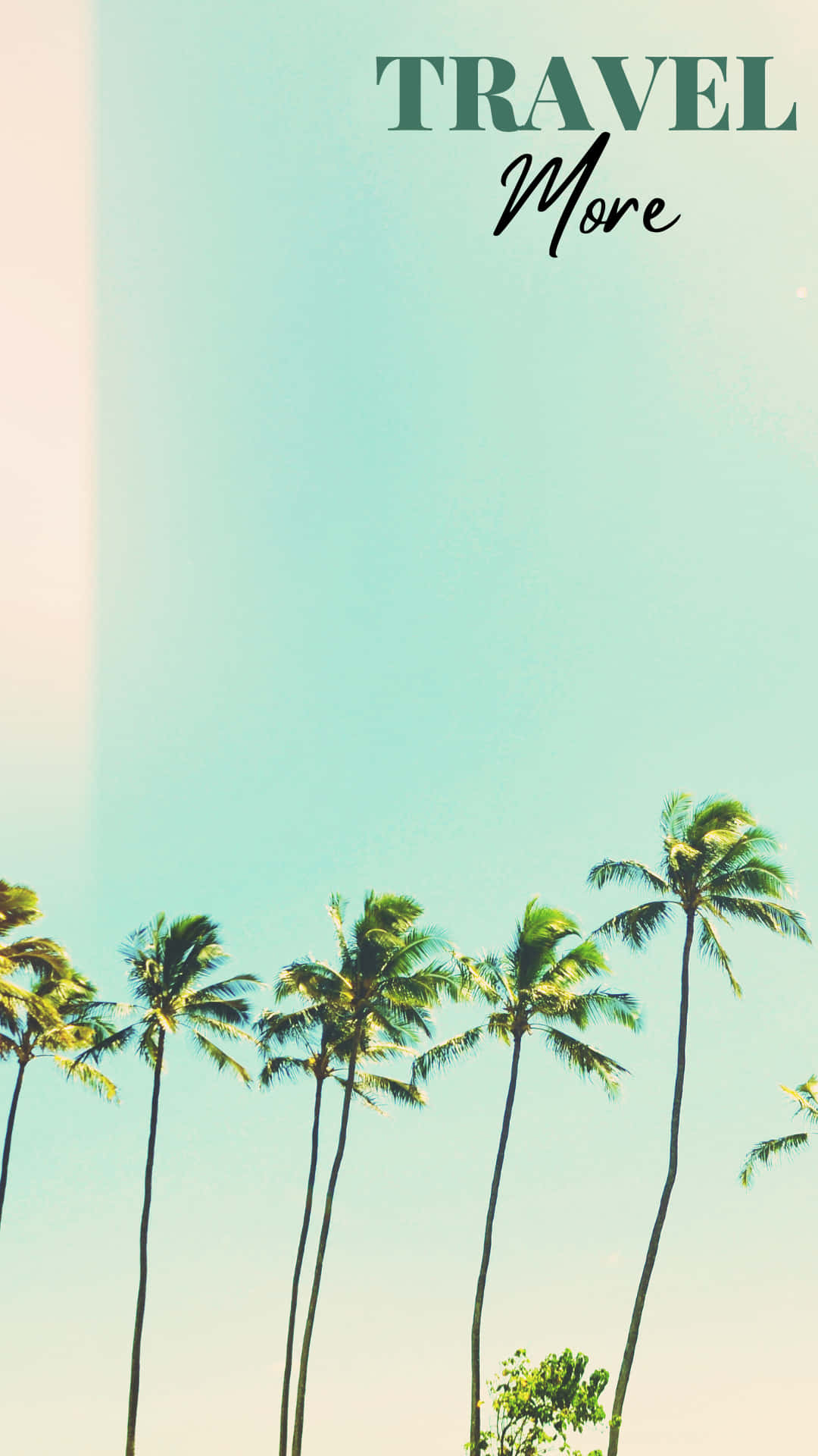 A Beach With Palm Trees Wallpaper