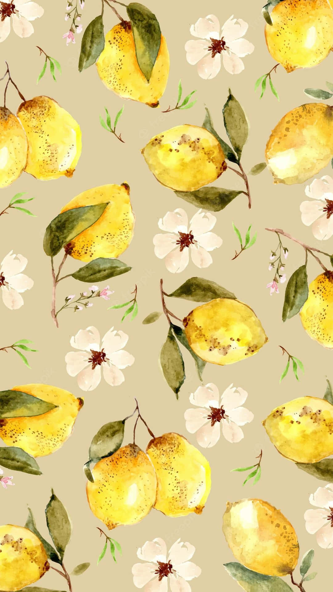 Ettakvarellmönster Av Citroner Och Blommor. Wallpaper