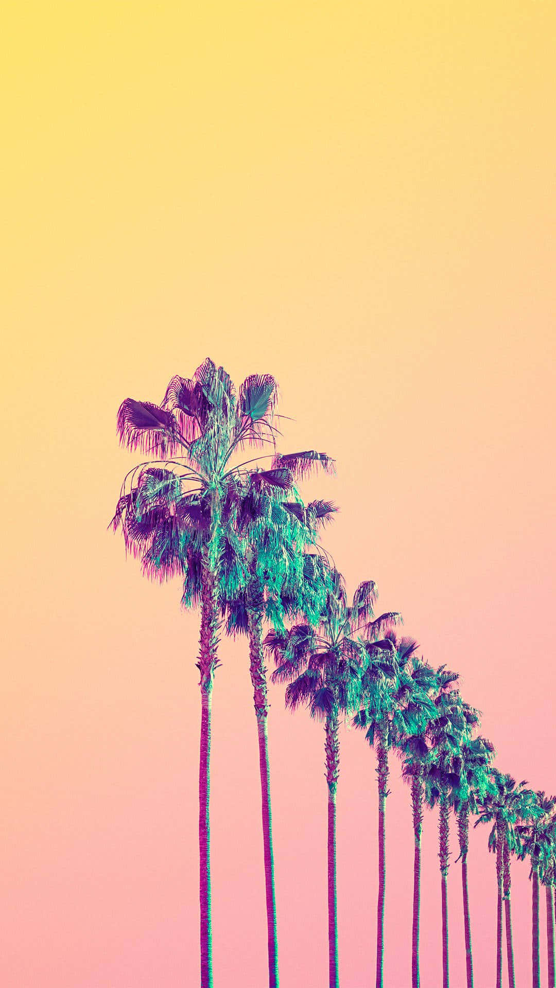 Yellow Aesthetic Phone Palm Trees Wallpaper