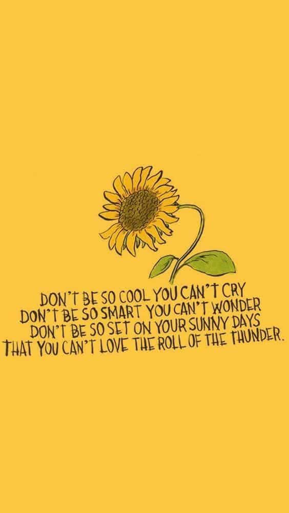 A Sunflower With The Words Don't Be Good You Can't Cry If You Can't Wonder That You're On Your Own Wallpaper