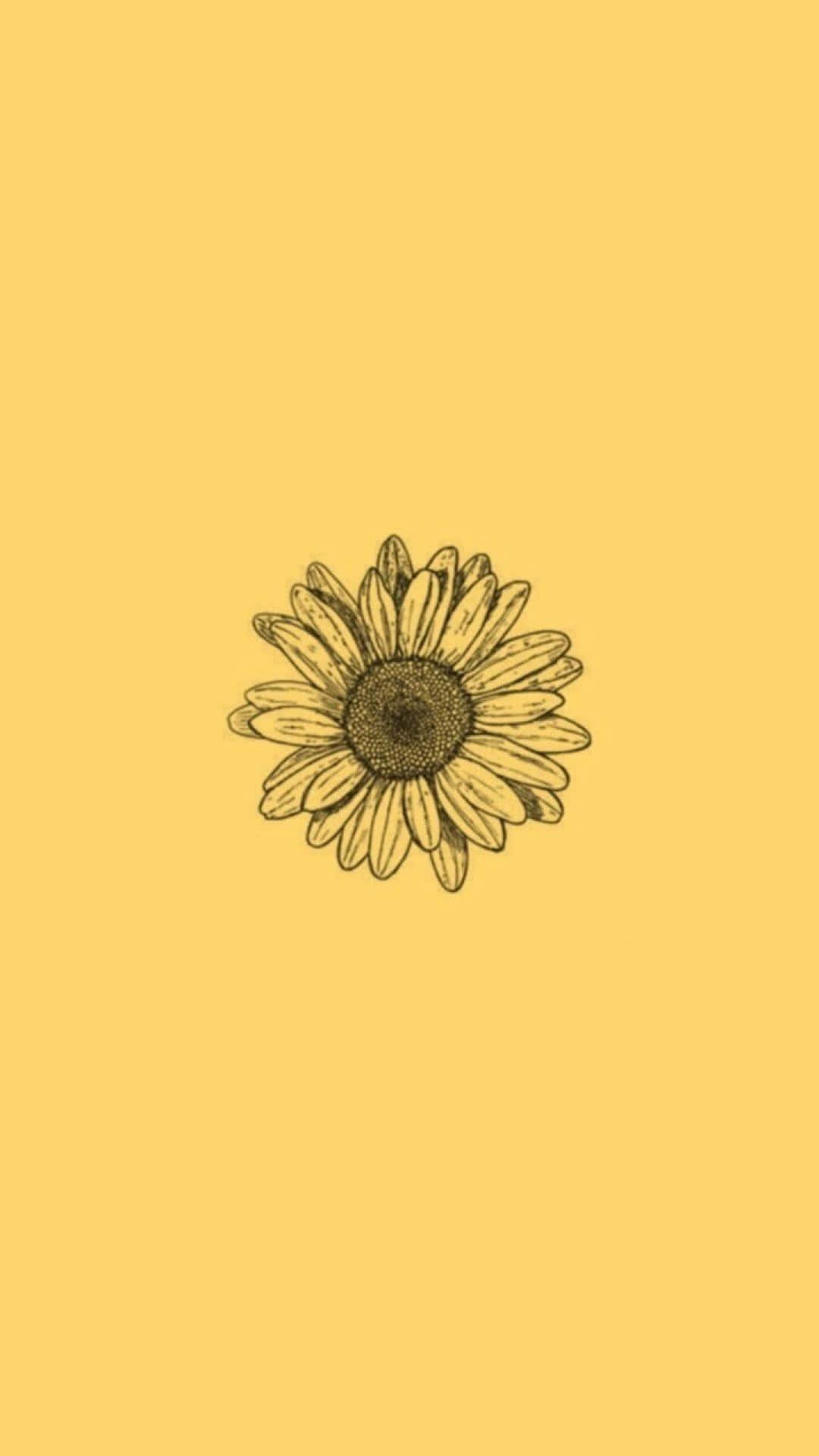 Niedlichesgelbes Sonnenblumen-ästhetik-bild