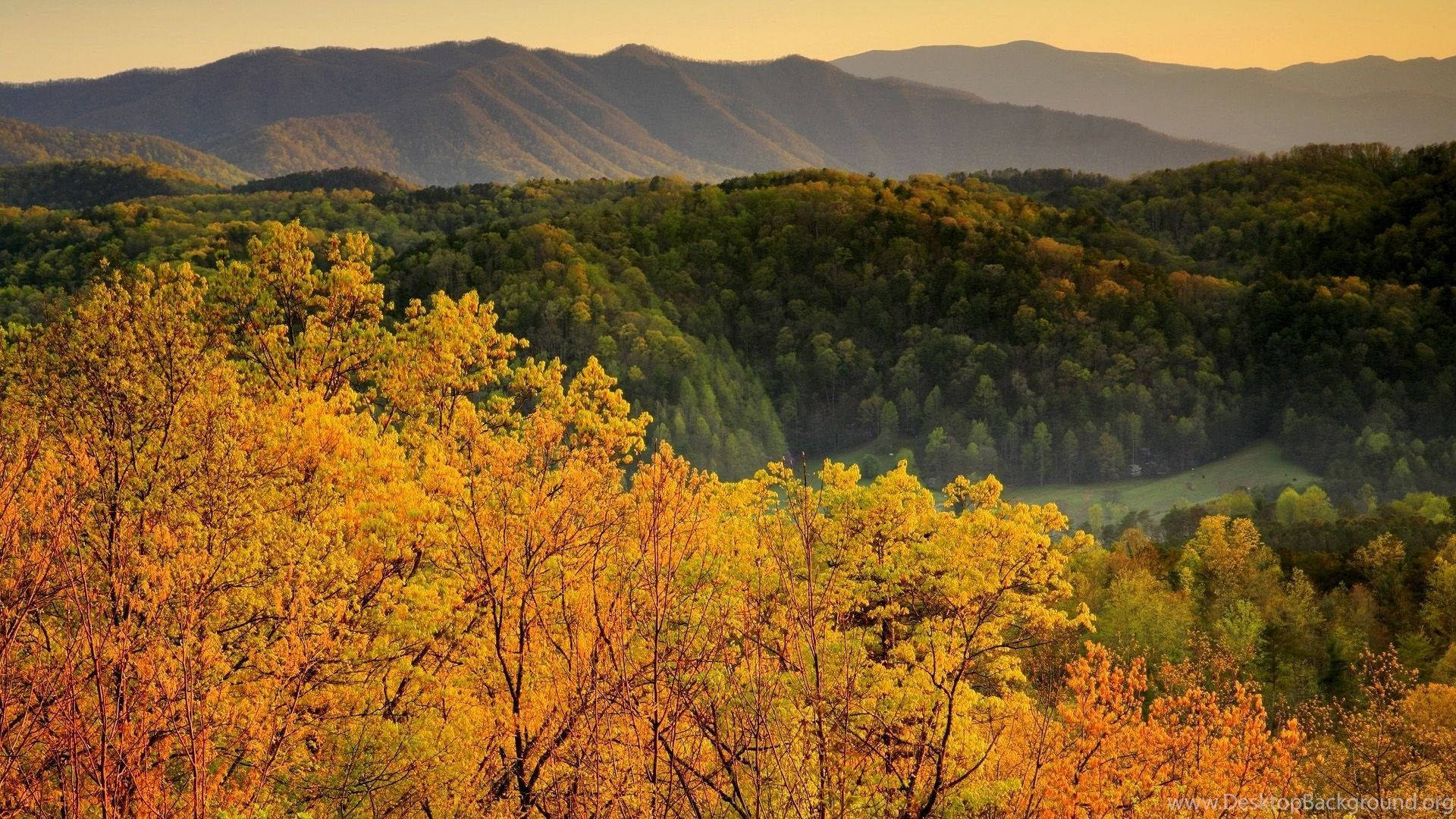 Yellow And Green Trees Smoky Mountains Wallpaper