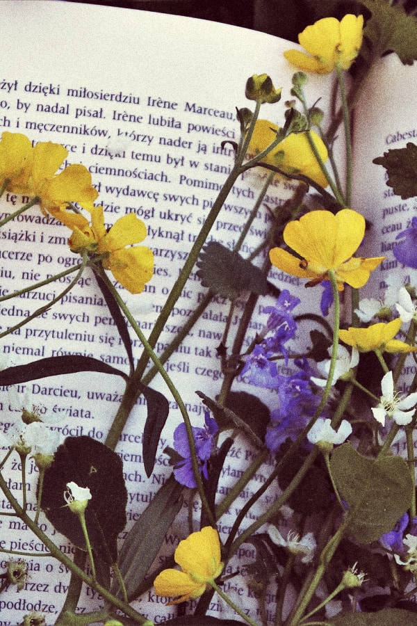 Yellow And Purple Vintage Flower Aesthetic