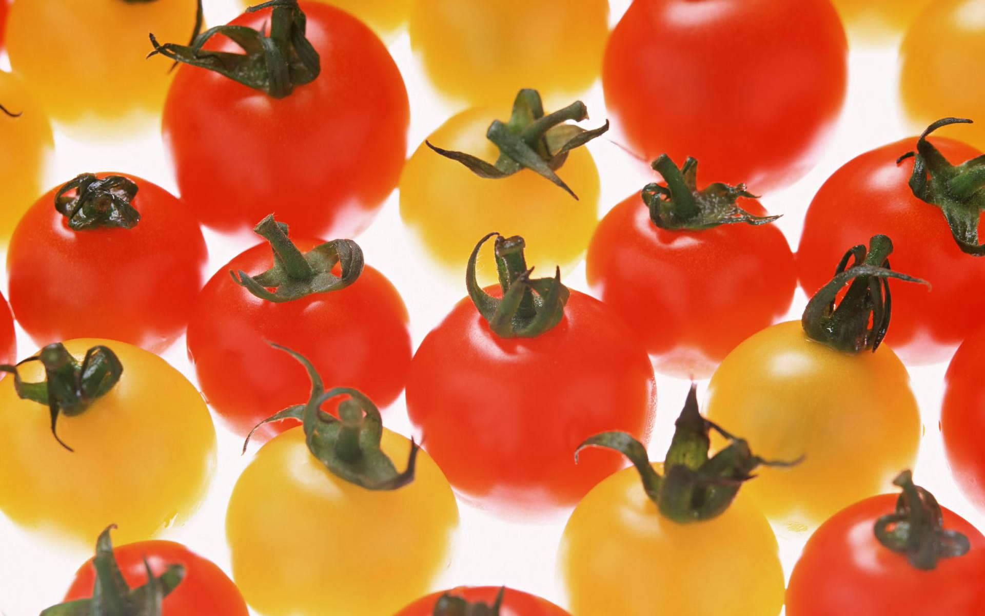 Gelbeund Rote Tomatenfrüchte Wallpaper