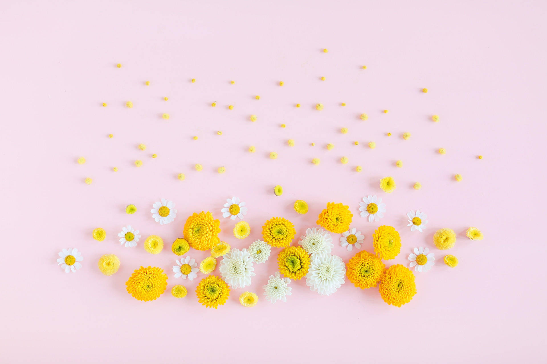 Yellow And White Flowers Cute Tablet