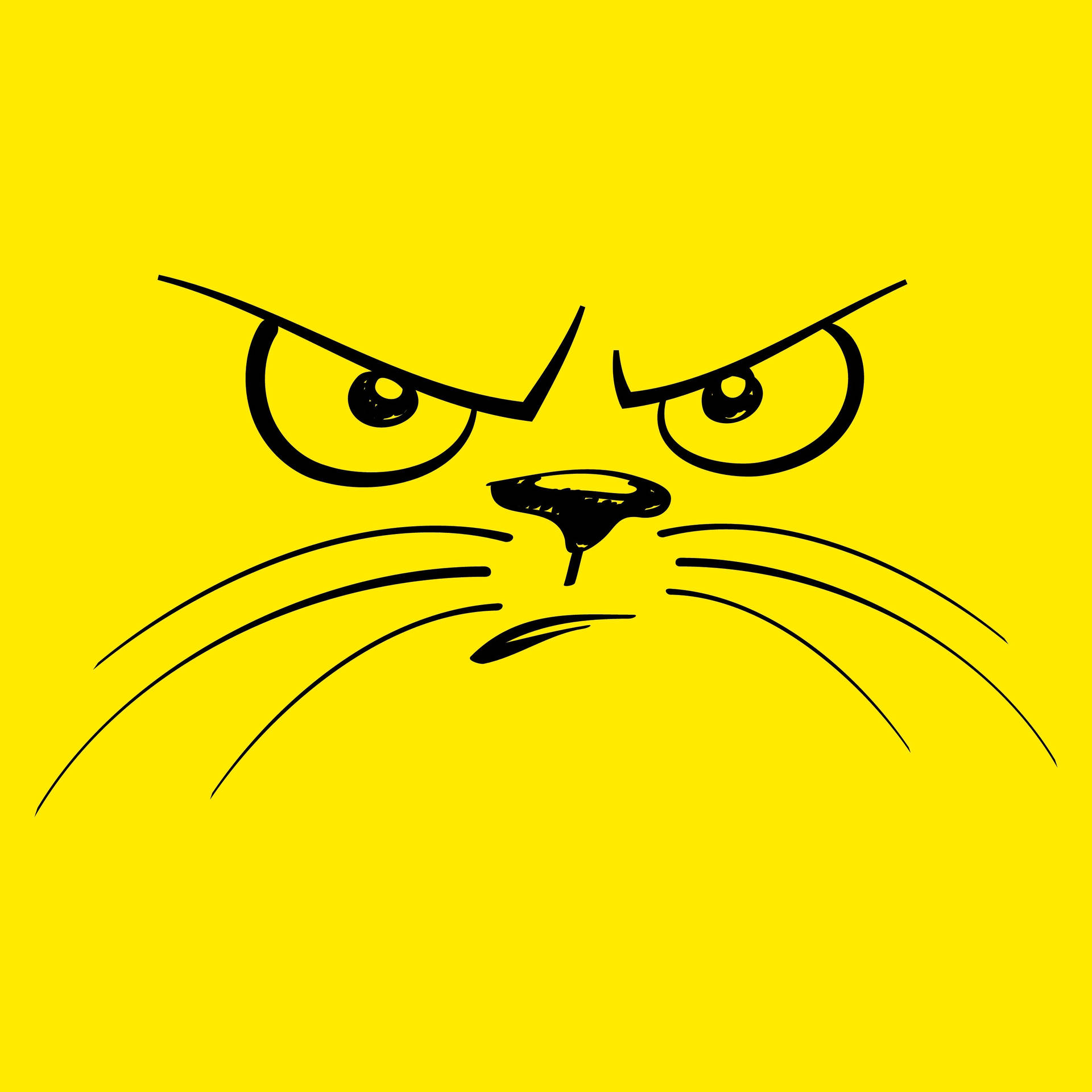 Yellow Angry Cat Background