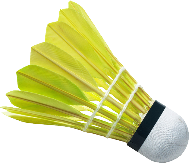 Download Yellow Badminton Shuttlecockpng 7733