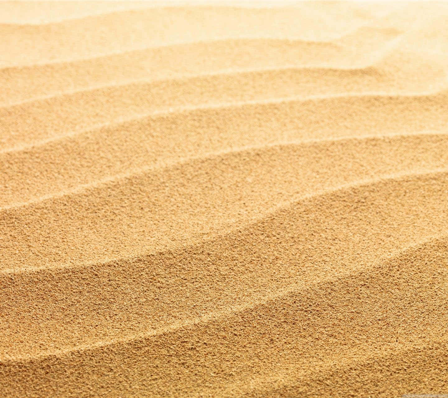 Gelberstrand Sand Wallpaper