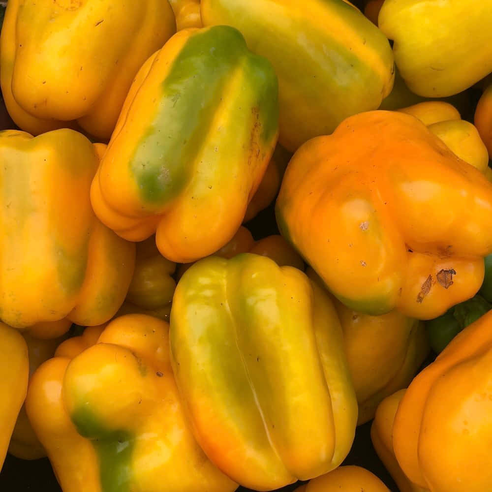 Vibrant Gul Paprika På En Mørk Bakgrunn Bakgrunnsbildet