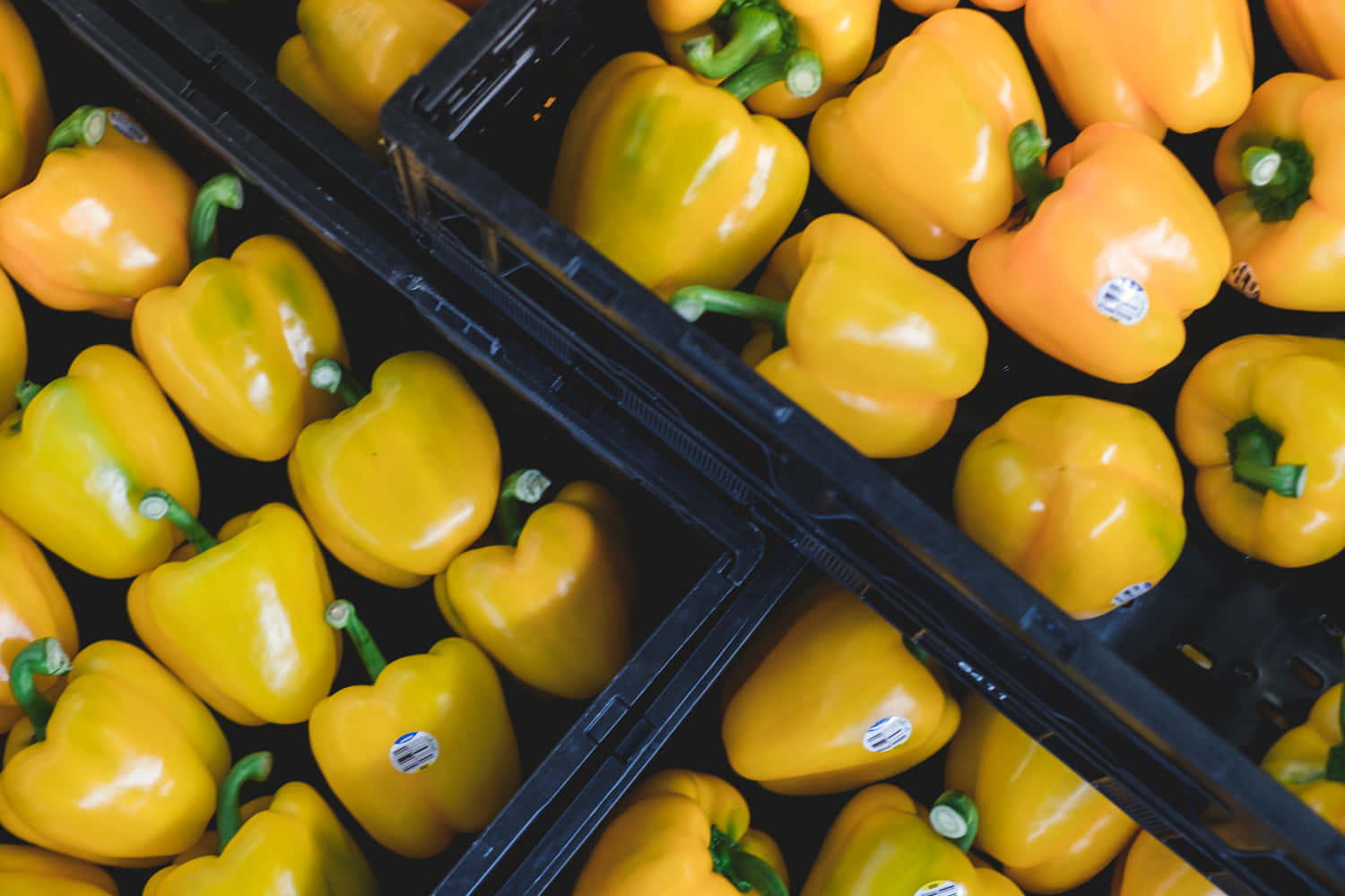 Fresh Yellow Bell Pepper on a Wooden Table Wallpaper