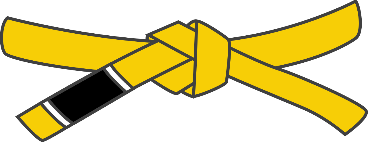 Yellow Belt Vector Illustration PNG