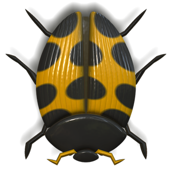 Yellow Black Ladybug Illustration PNG