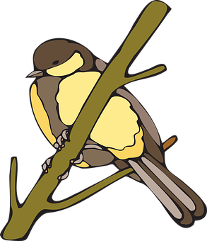 Yellow Breasted Bird Illustration PNG