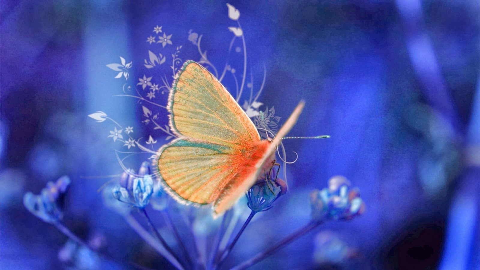 Vibrant Yellow Butterfly Perched on Flower Wallpaper