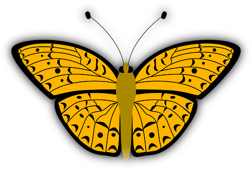Yellow Butterfly Black Background PNG