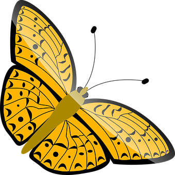 Yellow Butterfly Illustration PNG