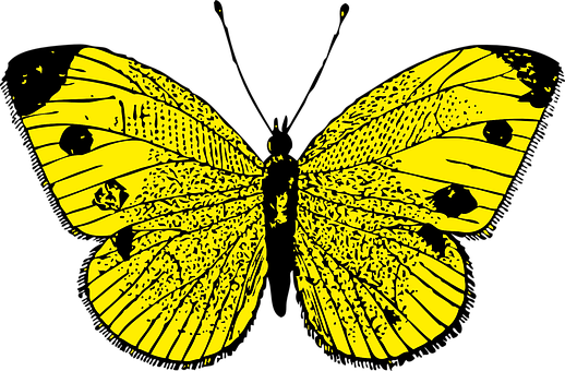 Yellow Butterfly Silhouette PNG