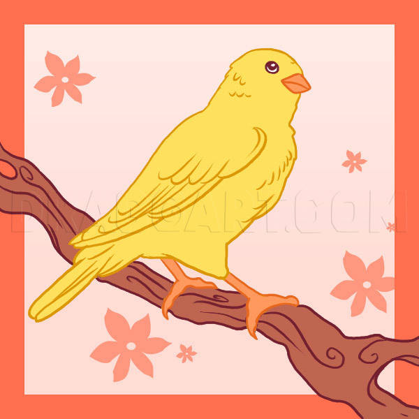 Yellow Canary Bird Graphic Art Wallpaper