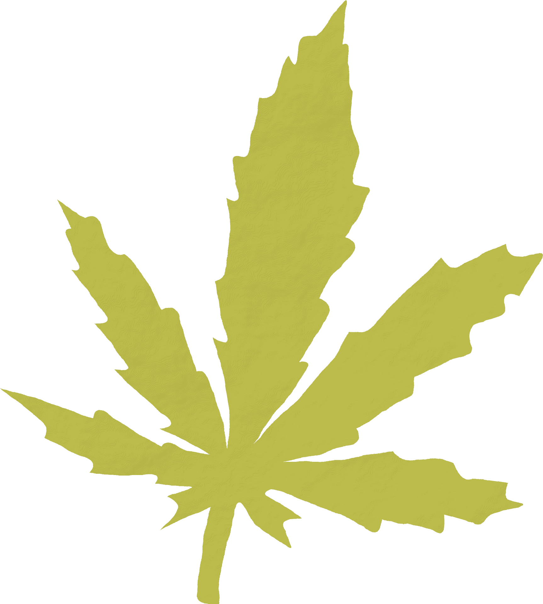 Yellow Cannabis Leaf Graphic PNG