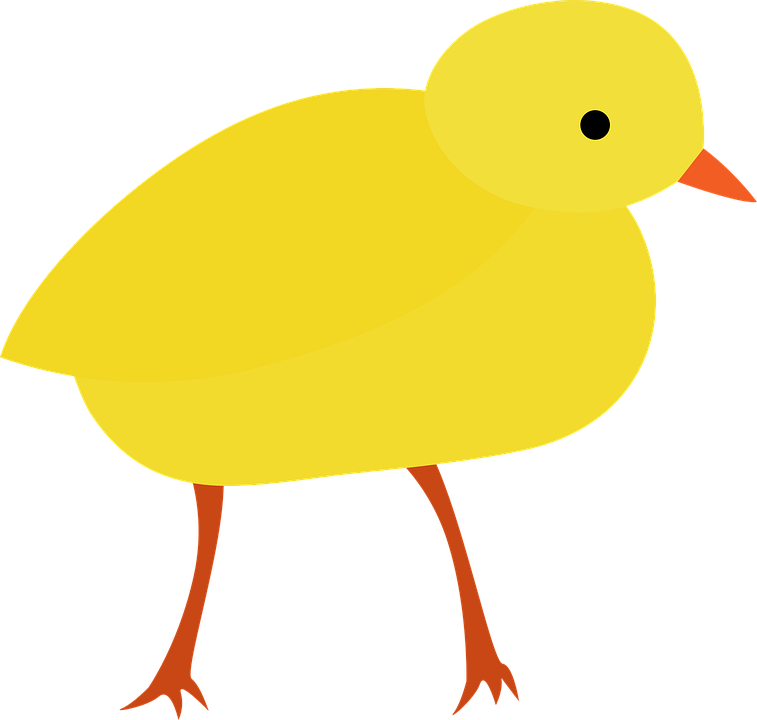 Yellow Cartoon Chick Illustration PNG
