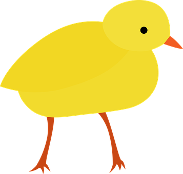 Yellow Cartoon Chick Illustration PNG