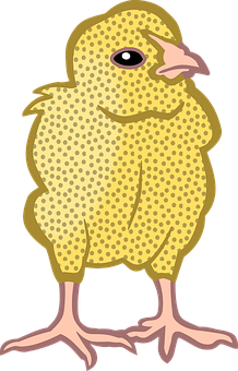 Yellow Chick Cartoon Illustration PNG