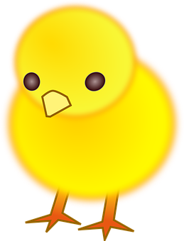 Yellow Chick Cartoon Illustration PNG